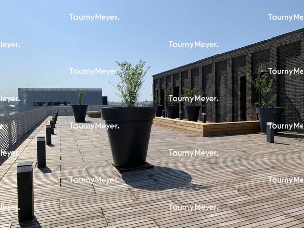BASSINS A FLOT - BUREAUX A LOUER