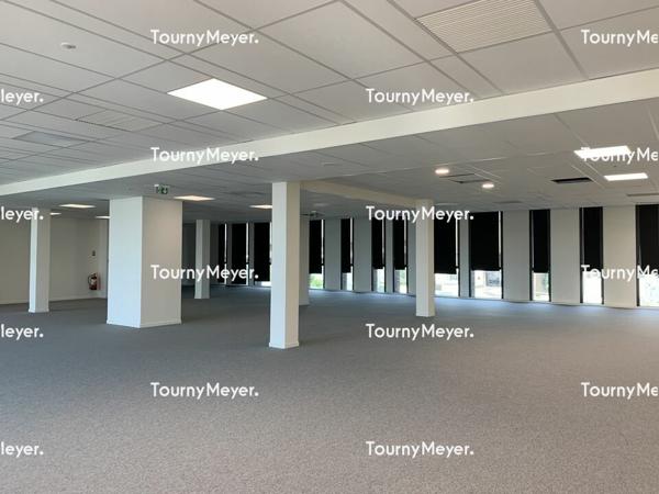 BASSINS A FLOT - BUREAUX A LOUER