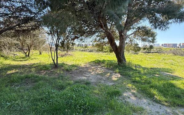 Terrain à vendre    Perpignan