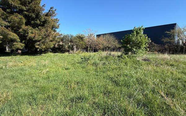 Terrain à vendre    Perpignan