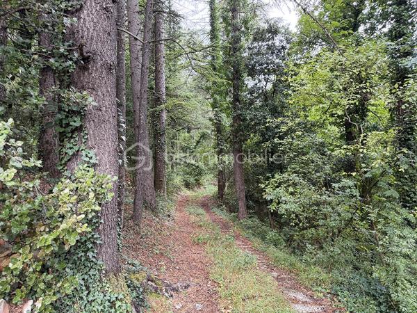 Dans un environnement naturel et boisé, sur les hauteurs de Saint-Léger-du-Ventoux, découvrez un ensemble foncier de 3 799 m² comprenant une ancienne construction en état de ruine, un abri d’environ 45 m² sur deux niveaux et une source sur la propriété.
Un ancien projet de rénovation avait été étudié avec un architecte.
Terrain non viabilisé à ce jour, accessible par un chemin traversant un environnement forestier.
Un bien atypique destiné aux amateurs de nature, de pierre et de projets de rénovation.