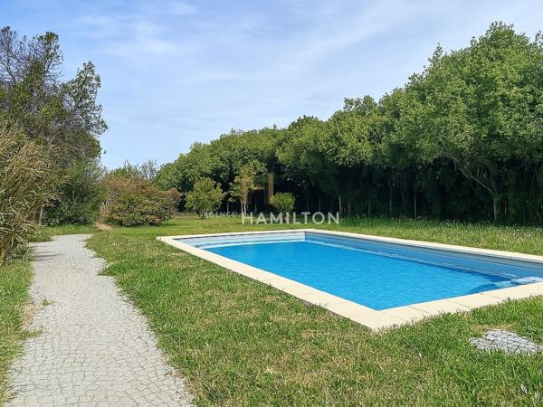 Authentique mas provençal en pierre avec dépendences, 2ha de terrain et piscine Monteux