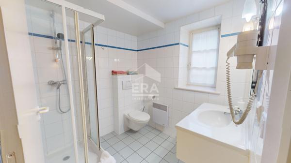 Hotêl/Restaurant - Cosne Cours Sur Loire 450 m2