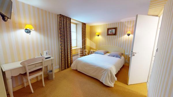 Hotêl/Restaurant - Cosne Cours Sur Loire 450 m2