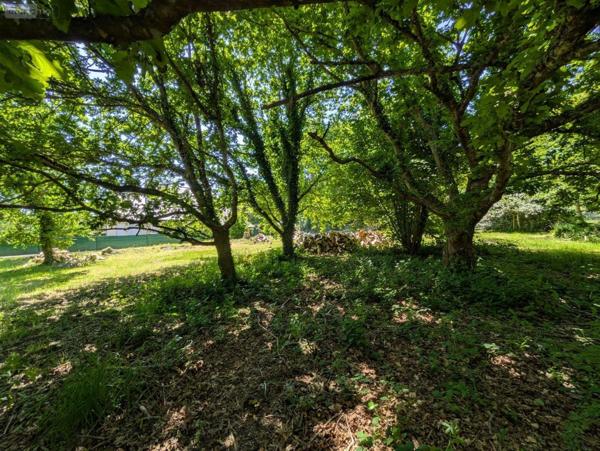 Terrain à Batir à vendre à Riec sur Bélon dans le Finistère (29340), ref : 29114-29