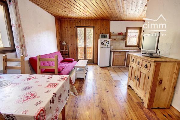 Nous vous proposons à la location à PASSY (74190) secteur PLATEAU D'ASSY, un T1bis meublé d'environ 32 m².