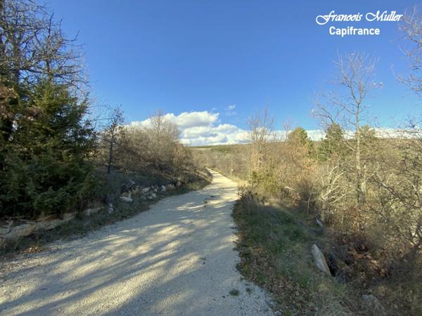 A proximité de Banon, belle Maison d'Hôtes de 268 m2 (+130 m2) en pleine campagne
