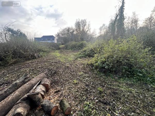 Achat - Terrain à bâtir Flines-lez-Raches 59148 2000 m 2