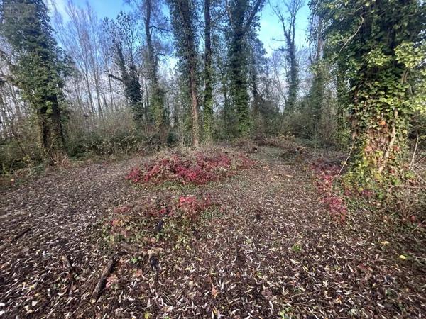 Achat - Terrain à bâtir Flines-lez-Raches 59148 2000 m 2