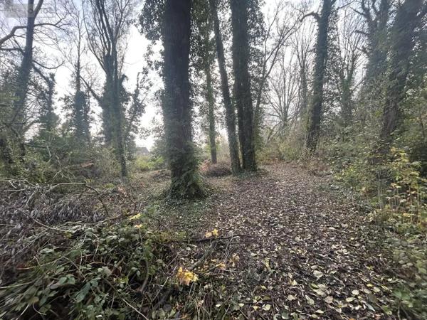 Achat - Terrain à bâtir Flines-lez-Raches 59148 2000 m 2