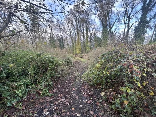 Achat - Terrain à bâtir Flines-lez-Raches 59148 2000 m 2
