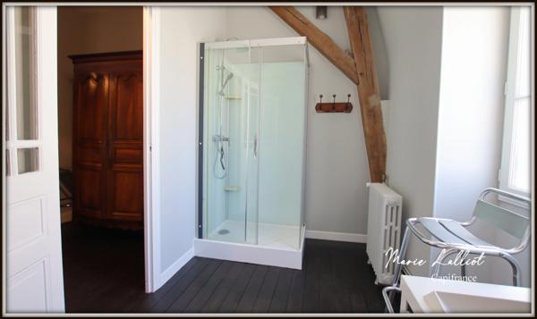 Maison à vendre 11 pièces PITHIVIERS (45), 265m², 5 chambres, séjour 45m², piscine, garage, parc arboré de 2500m², sous-sol