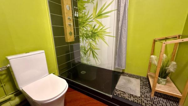 appartement T1 bis de 33,5 m2 meublé