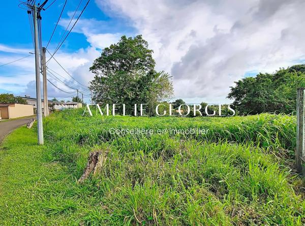 Terrain plat 2791 m2 - Saint Joseph