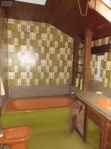 Autres types de maison à vendre à Plounévézel dans le Finistère (29270), ref : 29066-1060996