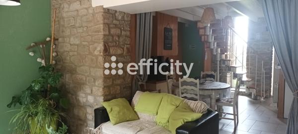 Maison 18 pièces - 554 m² Bien prestige