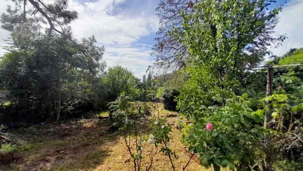 Gironde-sur-Dropt (33190) IMMEUBLE et TERRAIN