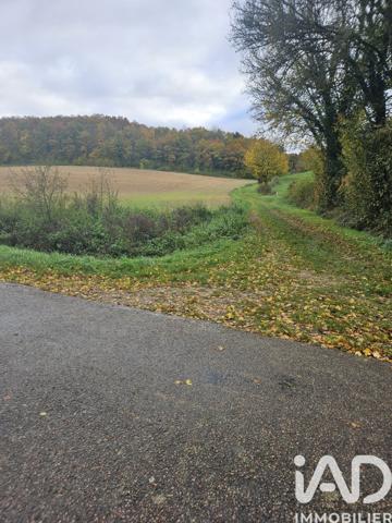 Terrain à vendre 1 950 m² Villeneuve-sur-Yonne