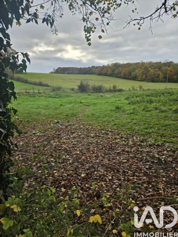 Terrain à vendre 1 950 m² Villeneuve-sur-Yonne