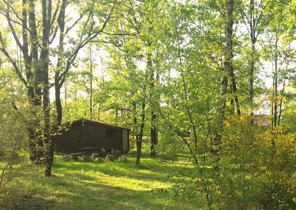 Havre de paix moderne en Sologne