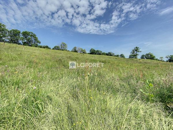 Achat terrain Lieutadès - 789 m² - 13 415 €