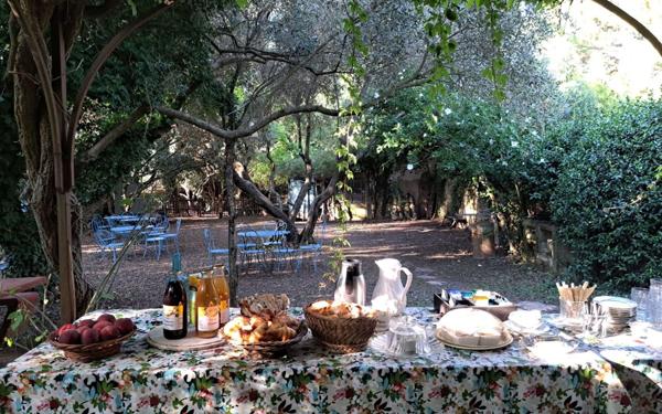 Maison à vendre    7 pièces •  Uzès