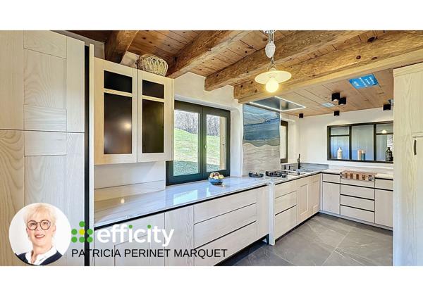 Maison 12 pièces - 285 m² Bien prestige