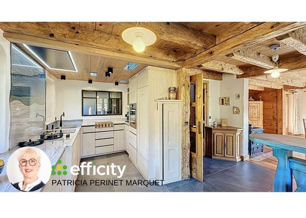 Maison 12 pièces - 285 m² Bien prestige