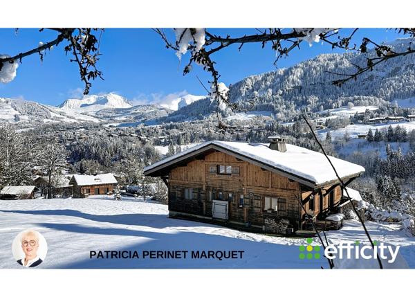 Maison 12 pièces - 285 m² Bien prestige