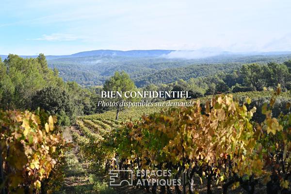Château de caractère héritage provençal viticole