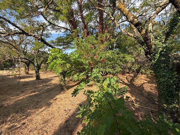 TERRAIN CONSTRUCTIBLE 600 M² , Chabeuil