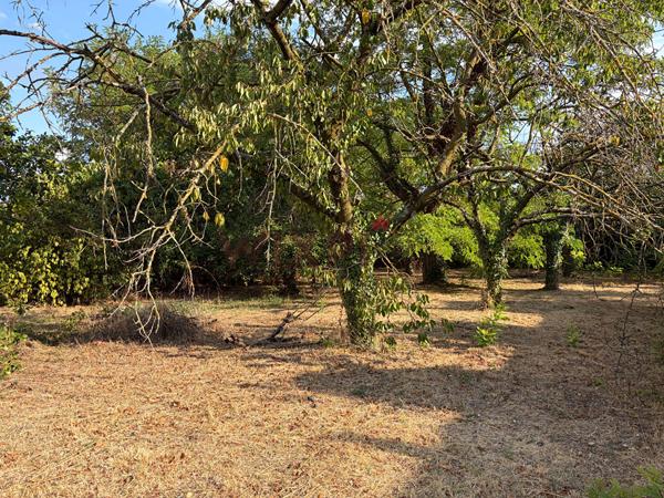 TERRAIN CONSTRUCTIBLE 600 M² , Chabeuil