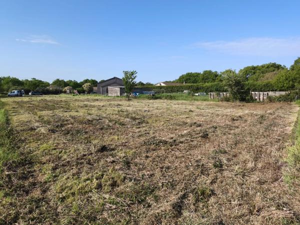 TERRAIN CONSTRUCTIBLE NON VIABILISE - VALENCE EN POITOU