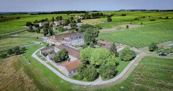 MAGNIFIQUE MAISON DE MAITRE AVEC DEPENDANCES EN GRANDE CHAMPAGNE SUR +/- 3 HA