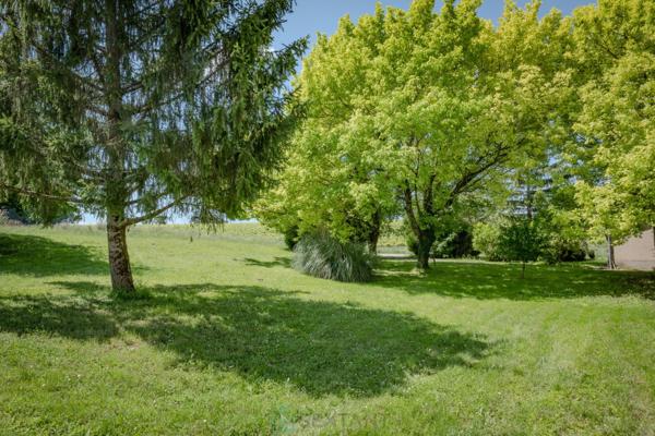 MAGNIFIQUE MAISON DE MAITRE AVEC DEPENDANCES EN GRANDE CHAMPAGNE SUR +/- 3 HA
