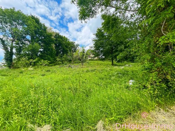 Terrain à vendre de 4 343 m²