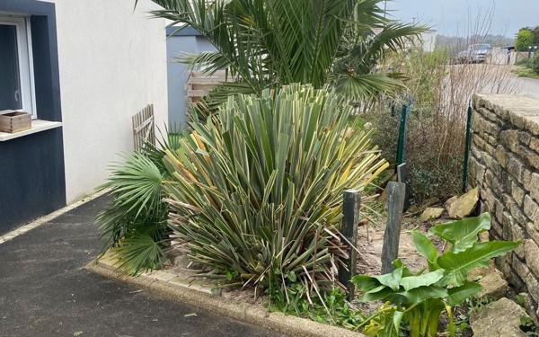 Maison à louer    4 pièces • 87 m2 Brest
