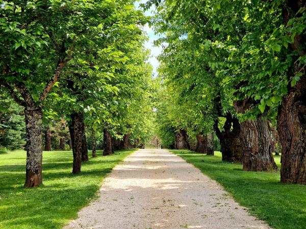 Magnifique propriété avec deux piscines sur les rives du Lot