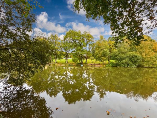 Propriete Gite pour pêcheur à vendre HAMBERS (53)