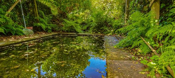 Longère de charme a vendre aà Tréboul, DOUARNENEZ (29)