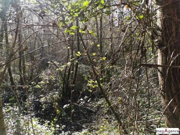 Terrain à TIESTE-URAGNOUX, 32160 - 18204m²