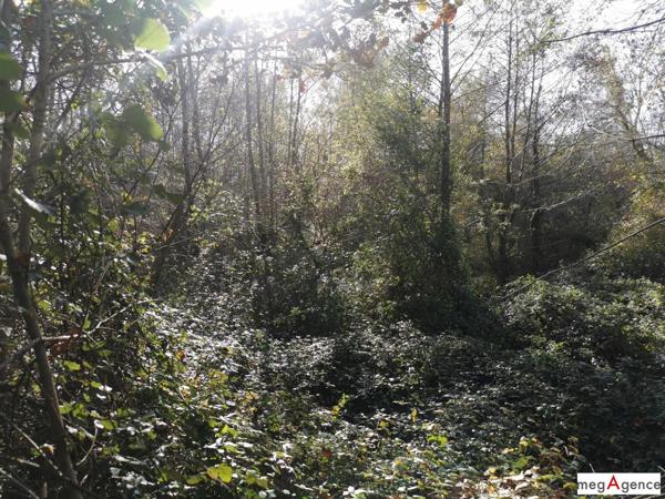 Terrain à TIESTE-URAGNOUX, 32160 - 18204m²