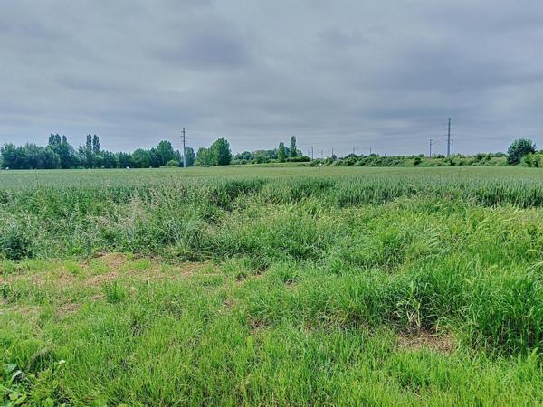 Terrain à bâtir en campagne, sur le triangle Aire-sur-la-Lys, Saint-Venant, Thiennes