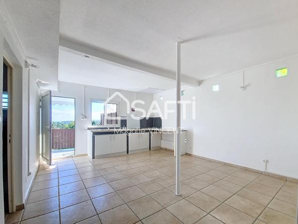 Appartement T3 avec une magnifique vue mer / montagne
