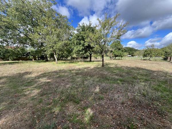 Terrain 39 550 € Saint-Projet-Saint-Constant 1508 m² DPE
