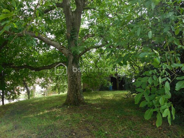 Terrain de 1 271 m²