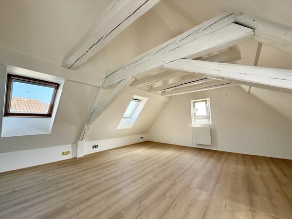Maison/Immeuble de Charme Rénovée 190 m2 avec Cour-Terrasses RosheimCV
