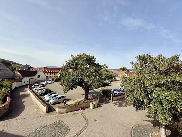 Maison/Immeuble de Charme Rénovée 190 m2 avec Cour-Terrasses RosheimCV