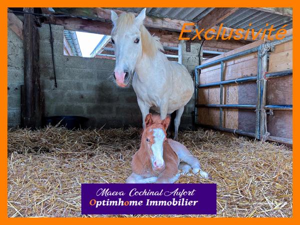 Ecurie avec maison et gîte secteur Verneuil sur Avre