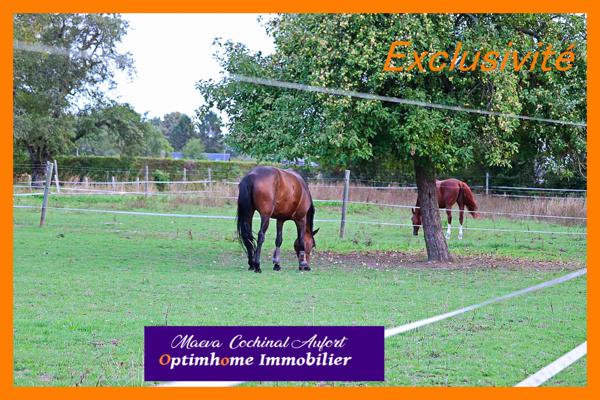 Ecurie avec maison et gîte secteur Verneuil sur Avre